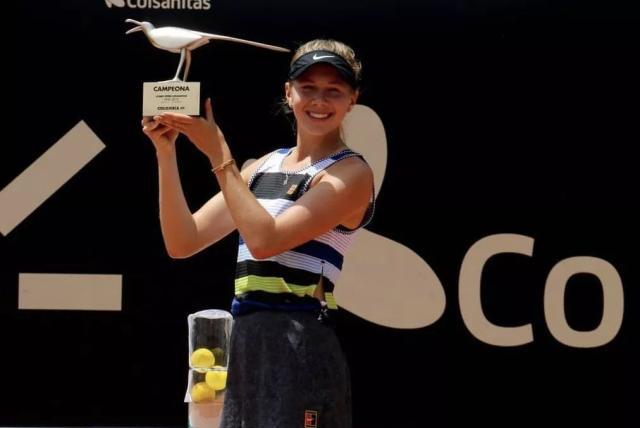 布朗膝盖的 布朗膝盖的