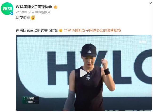 动向的球迷 动向的球迷